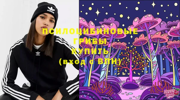 экстази Алексин