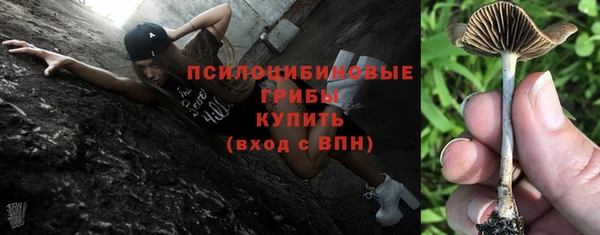 экстази Алексин